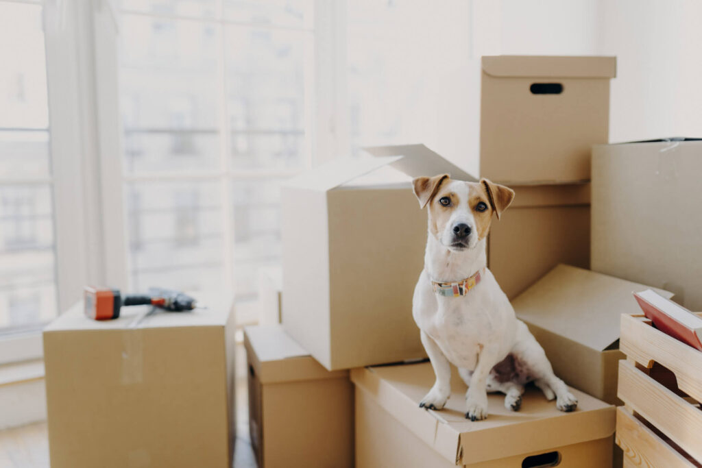 The Stress-Free Guide to Moving with Pets & Young Children